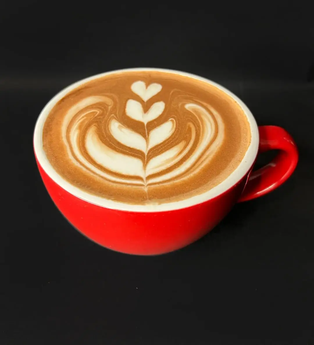 Cacao con leche
